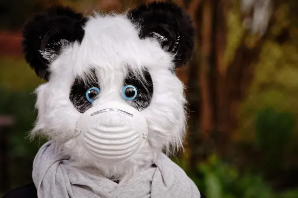 BitReels Casino Supporto